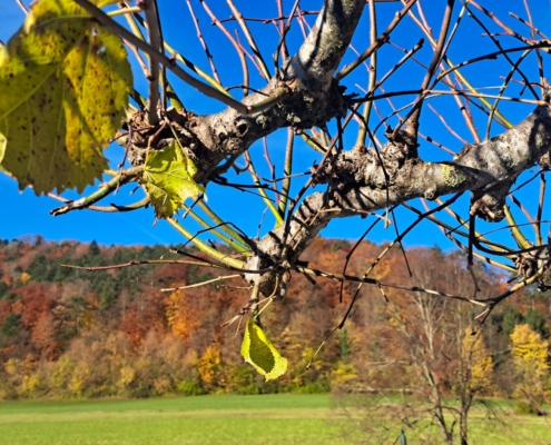 Wandern, Natur, Ruhe, Fokus, Regeneration, Resilienz